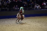 Quadrille - 00281